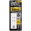 Y02K4025WH2U ���K�[�h�t2AC2USB2�D1A YAZAWA(���U���R�[�|���[�V����) 69297822