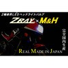 ZM1631-65 ZM1631-65 H4/HS1^ LEDwbhCgou 6500K M&H 69303237