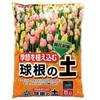 - 球根の土 自然応用科学 69316984