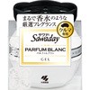 ‐ SAWADAYクルマ専用ゲル パルファム 小林製薬 69339908