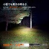 N1 pro ポケットライト カラビナ付 1000LM Nicron(ニクロン) 69409177