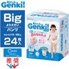 GBP-BIGD24 �y4�Z�b�g�z���񂵂� Genki!�ӂ�����^�b�` BIG�� 24�� �A�C���X�I�[���} 69416378