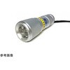 LEDブラックライト 9灯 紫外線LED搭載 電池付き サウスウォーカー