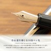 111214940 プロフィット14 ゴールドトリム 万年筆 ブルー セーラー万年筆 69434946