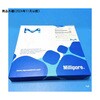 IPFL07810 Immobilon-FL PVDF 0.45��m 7x8.4cm sheet 10/Pk 10PK Merck(�����N�~���|�A) 69470235