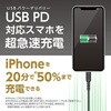 TAP162UC2W PD100W コンセントチャージャーC×2+A ホワイト 多摩電子 69488566