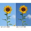 - PL(偏光)レンズフィルター PRO1D C-PL(W) N Kenko(ケンコートキナー) 69830665