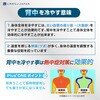 LOJ-PB50 冷暖ボディコンディショニングペルチェベスト LINKS OF JAPAN 69971906