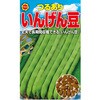 501317 【種 たね タネ】つるあり いんげん豆 インゲン アタリヤ農園 70008350