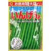 515956 【種 たね タネ】お徳用特大袋 つるなし いんげん アタリヤ農園 70008910