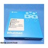 定性ろ紙 グレード602h Whatman(ワットマン)