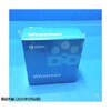 10463040 �X�p���^�� 13 0.2��m RC/PP FLL/Mini-Tip 1�p�b�N 100�� Whatman(���b�g�}��) 70020636