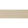 YE632-2SG �g�C���^�t �{�[�_�[18 DAIKEN(��:�匚�H��) 70034259