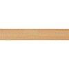 YK108-DWNS �R�~���j�P�[�V�����^�t �h�� �o�C�I���[�t DW4 DAIKEN(��:�匚�H��) 70036045