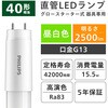 LDF40N/16/25/2P グロー式専用直管LEDランプ フィリップス 70048155