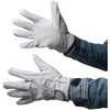 AG2300 AG2300 �X�[�p�[���X�L���[�A�e�t ACE GLOVE(�G�[�X�O���[�u) 70091552