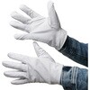 AG430 AG430 �N���X�g7 ACE GLOVE(�G�[�X�O���[�u) 70091622