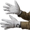 AG520 AG520 豚クレストマジック ACE GLOVE(エースグローブ) 70091683