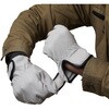 AG520 AG520 豚クレストマジック ACE GLOVE(エースグローブ) 70091683
