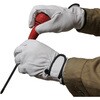 AG520 AG520 豚クレストマジック ACE GLOVE(エースグローブ) 70091683