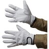 AG523 AG523 豚クレストマジックアテ付 ACE GLOVE(エースグローブ) 70091708