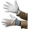 AG501 AG501 甲メリゴムタック ACE GLOVE(エースグローブ) 70091744