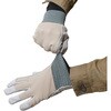 AG501 AG501 甲メリゴムタック ACE GLOVE(エースグローブ) 70091744