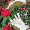 AG620-3P T\Ci[ ACE GLOVE(G[XO[u) 70092024