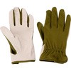 T\Ci[ ACE GLOVE(G[XO[u)