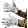 AG4650 AG4650 エースプレミアム牛床革カワテ外縫い ACE GLOVE(エースグローブ) 70092103