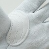 AG4650 AG4650 エースプレミアム牛床革カワテ外縫い ACE GLOVE(エースグローブ) 70092103