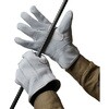 AG4650 AG4650 エースプレミアム牛床革カワテ外縫い ACE GLOVE(エースグローブ) 70092103