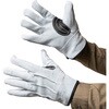 AG4601 AG4601 牛床革カワテ外縫い ACE GLOVE(エースグローブ) 70092164