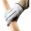 AG4601 AG4601 牛床革カワテ外縫い ACE GLOVE(エースグローブ) 70092164
