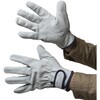 AG442 AG442 牛床マジック内綿 ACE GLOVE(エースグローブ) 70092295