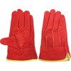 AG4815 AG4815  �I�C���J���e�O�D�� �鐝 ���� ACE GLOVE(�G�[�X�O���[�u) 70092803