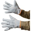 AG4817 AG4817 牛床革カワテ外縫い 白虎 内綿 ACE GLOVE(エースグローブ) 70092828