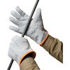 AG4817 AG4817 牛床革カワテ外縫い 白虎 内綿 ACE GLOVE(エースグローブ) 70092828