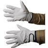 AG547 AG547 豚スウェードマジックアテ付 ACE GLOVE(エースグローブ) 70092952
