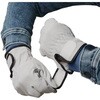 AG547 AG547 豚スウェードマジックアテ付 ACE GLOVE(エースグローブ) 70092952