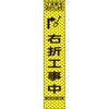 70140219