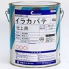 イラカパテ 仕上用 中央ペイント