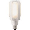 LEDランプ LEDioc LEDライトバルブ 岩崎電気