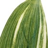 70180644