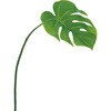 モンステラ 造花