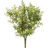 GLSK-0021 ���[�J���u�b�V�� ���l�f�B�X�v���C�~���[�W�A�� 70194818