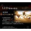 EA758XP-17 LED電球 エスコ 70269284