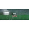 EA922AJ-17C 18kg 工業用床面洗浄剤(アルカリ性) エスコ 70289216