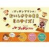 - [冷蔵]ちょこっとプッチンプリン カスタード 江崎グリコ 70333474