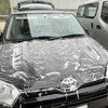20790448,20790457